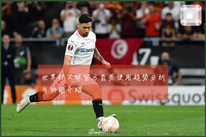 世界杯买球官方首页使用趋势分析与功能介绍