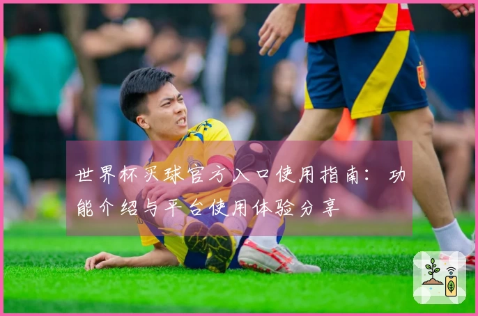 世界杯买球官方入口使用指南：功能介绍与平台使用体验分享