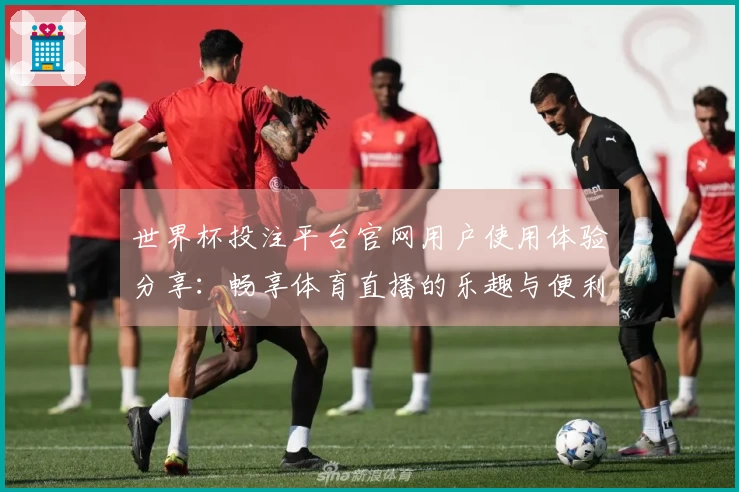 世界杯投注平台官网用户使用体验分享：畅享体育直播的乐趣与便利