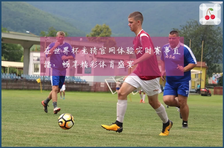 在世界杯竞猜官网体验实时赛事直播，畅享精彩体育盛宴