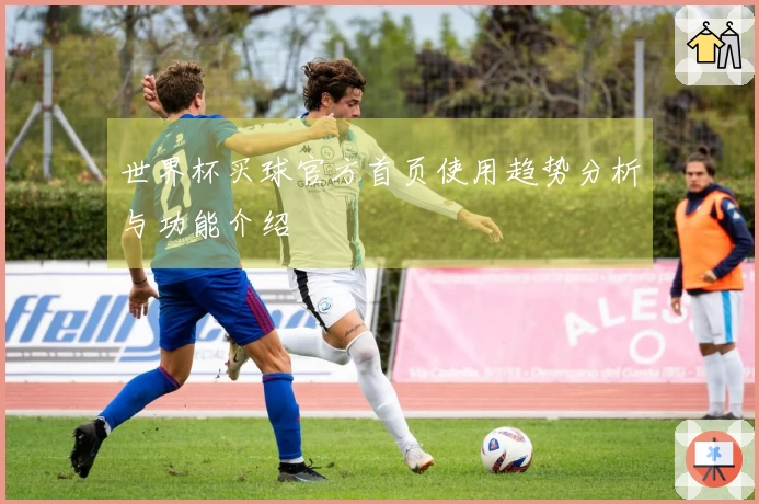 世界杯买球官方首页使用趋势分析与功能介绍