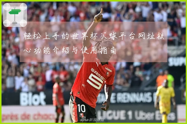轻松上手的世界杯买球平台网址核心功能介绍与使用指南