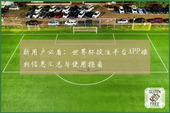 新用户必看：世界杯投注平台APP福利信息汇总与使用指南