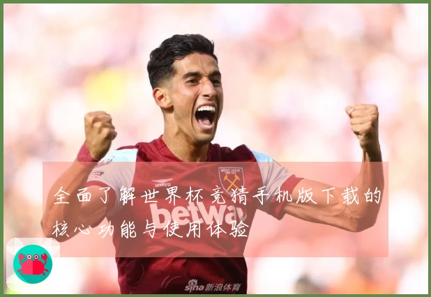 全面了解世界杯竞猜手机版下载的核心功能与使用体验